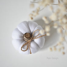 Načíst obrázek do prohlížeče Galerie, Dekorační MINI DÝNIČKY - PŘEDOBJEDNÁVKY