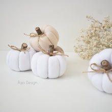 Načíst obrázek do prohlížeče Galerie, Dekorační MINI DÝNIČKY - PŘEDOBJEDNÁVKY