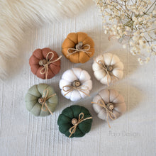 Načíst obrázek do prohlížeče Galerie, Dekorační MINI DÝNIČKY - PŘEDOBJEDNÁVKY