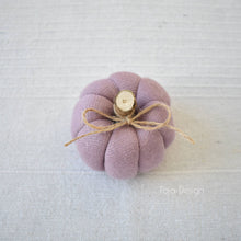 Načíst obrázek do prohlížeče Galerie, Dekorační MINI DÝNIČKY - PŘEDOBJEDNÁVKY