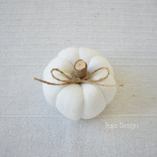 Načíst obrázek do prohlížeče Galerie, Dekorační MINI DÝNIČKY - PŘEDOBJEDNÁVKY