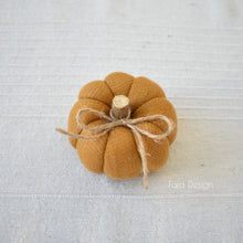 Načíst obrázek do prohlížeče Galerie, Dekorační MINI DÝNIČKY - PŘEDOBJEDNÁVKY