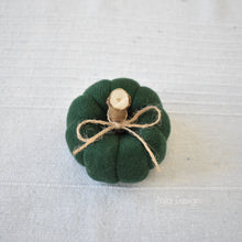 Načíst obrázek do prohlížeče Galerie, Dekorační MINI DÝNIČKY - PŘEDOBJEDNÁVKY