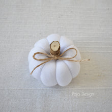 Načíst obrázek do prohlížeče Galerie, Dekorační MINI DÝNIČKY - PŘEDOBJEDNÁVKY