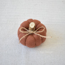 Načíst obrázek do prohlížeče Galerie, Dekorační MINI DÝNIČKY - PŘEDOBJEDNÁVKY