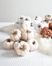 Načíst obrázek do prohlížeče Galerie, Dekorační MINI DÝNIČKY - PŘEDOBJEDNÁVKY