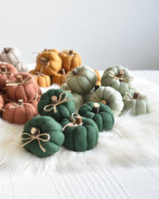 Načíst obrázek do prohlížeče Galerie, Dekorační MINI DÝNIČKY - PŘEDOBJEDNÁVKY